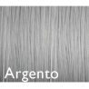 Color Genus Argento 100ml  Matizador Plata