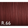 Color Genus r.66 100ml  Potenciador Rojo